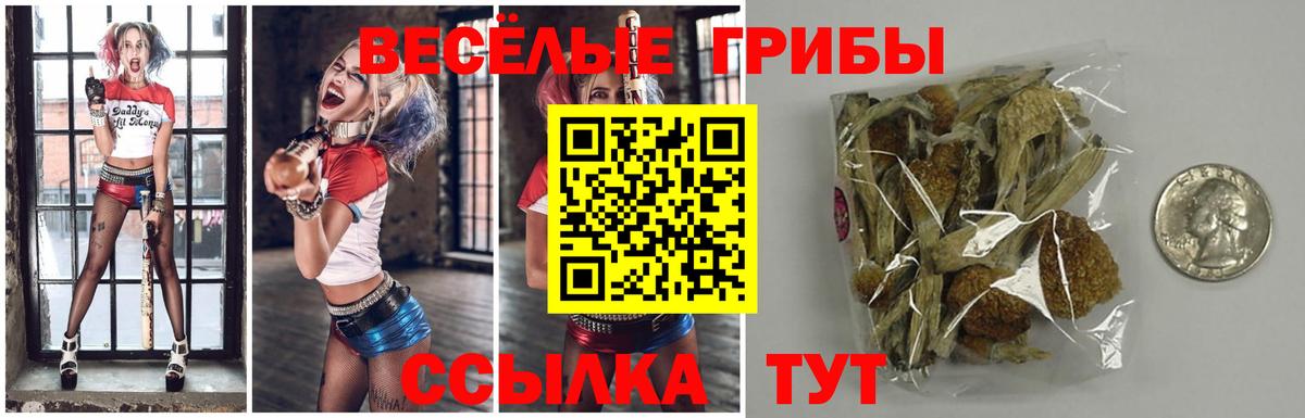 Псилоцибиновые грибы мухоморы  Вход с VPN  закладки  Псилоцибиновые грибы ЛСД  Чапаевск 